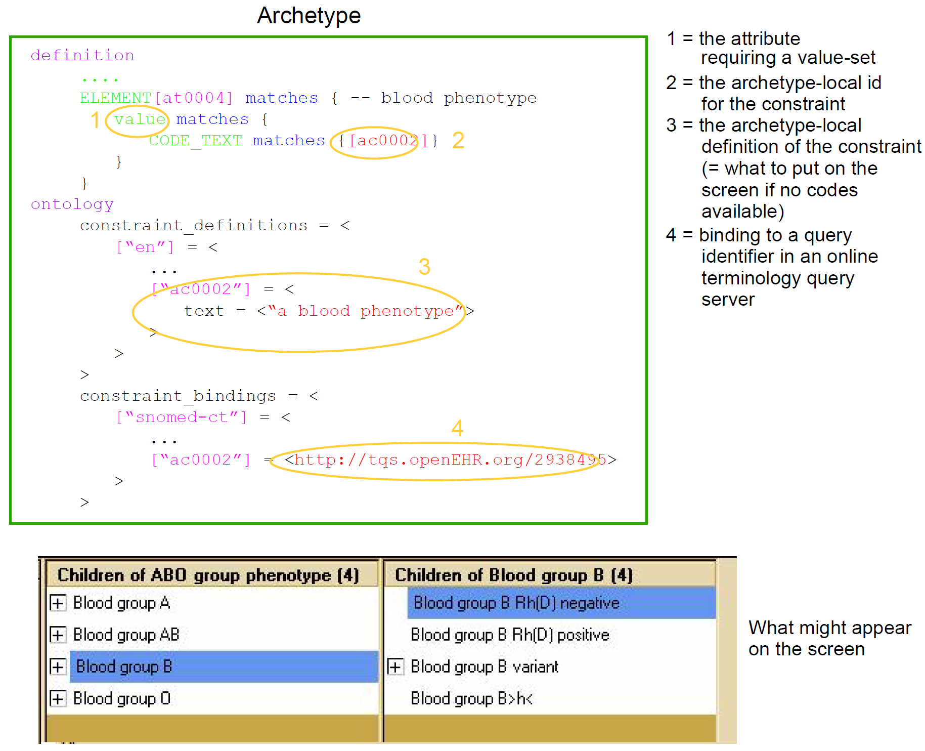 archetype constraint binding